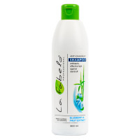 Шампунь проти лупи La Fabelo Anti-Dandruff Blueberry and Fruit Extract Shampoo 300 мл (01490103701)