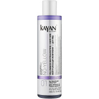 Шампунь для нейтралізації жовтизни волосся Kayan No-Yellow Shampoo 250 мл (4820229611179)