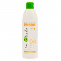 Шампунь відновлення для сухого і фарбованого волосся La Fabelo Premium 04 Hair Repair Shampoo 300 мл