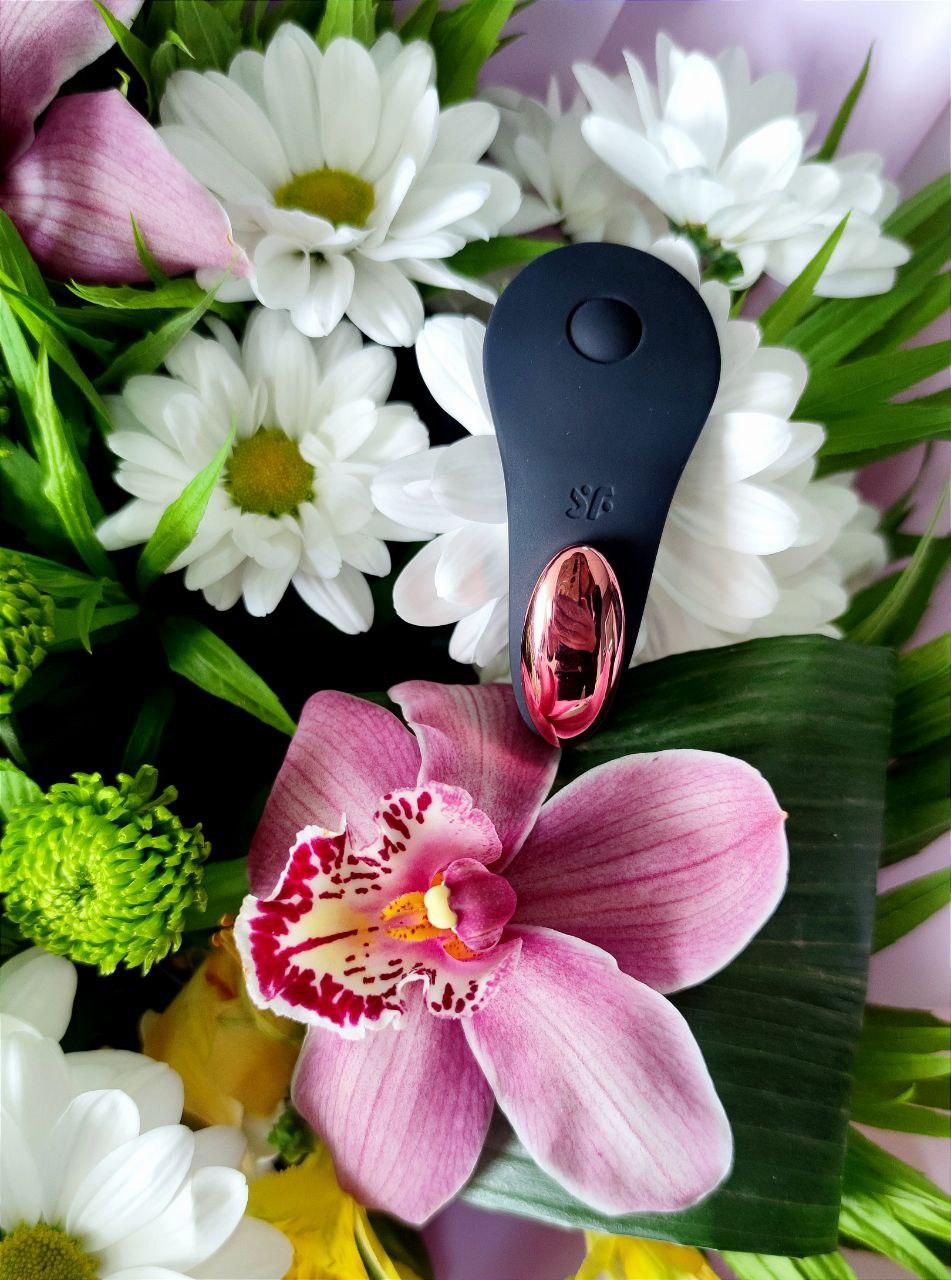 Вібратор у трусики зі смарт-керуванням Satisfyer Little Secret (4061504003344)
