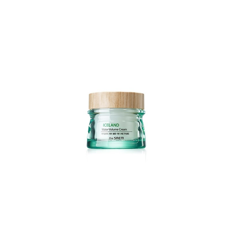 Глубоко увлажняющий крем The Saem Iceland Water Volume Hydrating Cream Dry Skin 80 мл (8806164145739)
